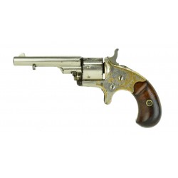 Extremely Early Colt New...