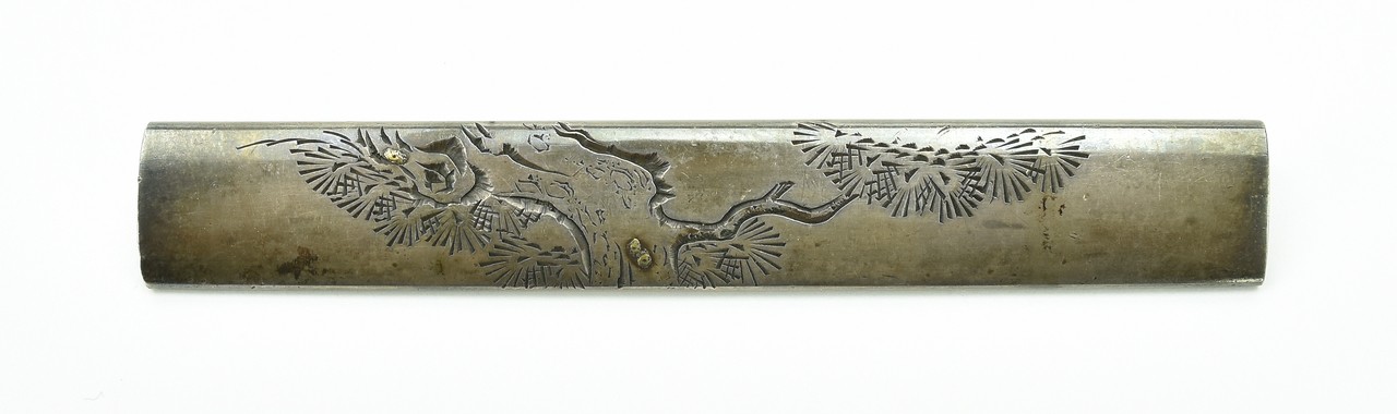 Kinko Kodzuka (MGJ560)