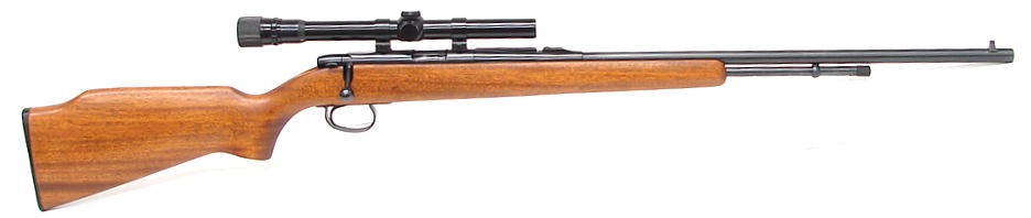 Remington 582 .22 LR caliber rifle. Bolt action plinker model in ...