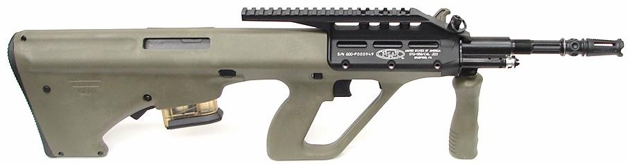 Microtech Small Arms STG-556 .223 caliber rifle.  (iR7063)