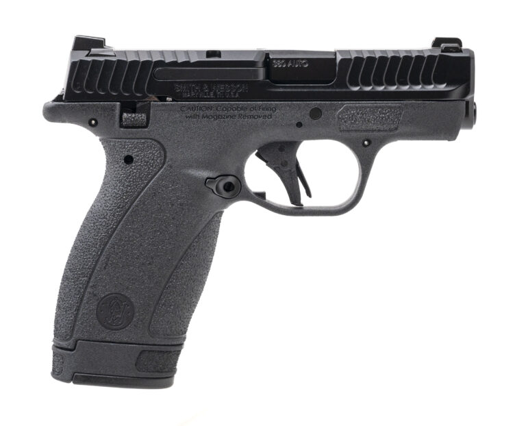 Smith & Wesson Bodyguard 2.0 TS Pistol .380 ACP