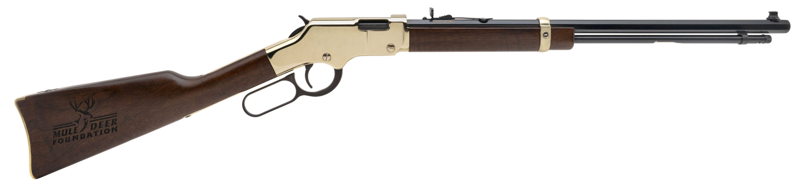 Henry Golden Boy Rifle .17HMR (R44326) DTX
