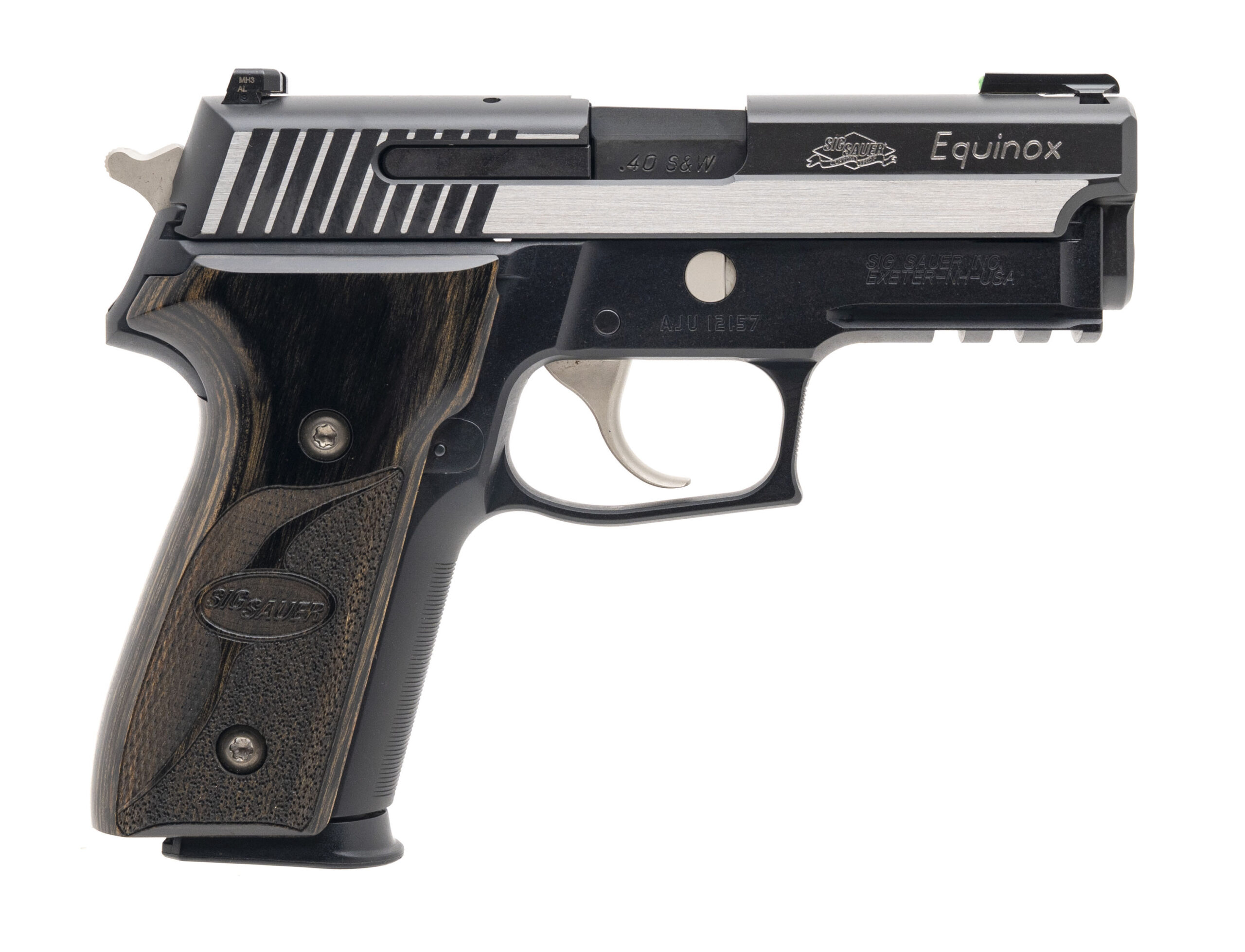 Sig Sauer P229 Equinox Pistol .40 S&W (PR73307)
