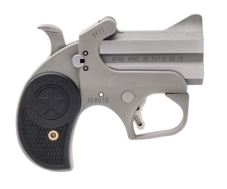 Bond Arms Stinger 22LR Derringer
