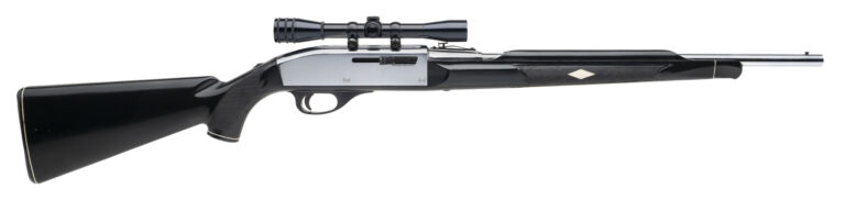 Remington Nylon 66 Apache Black Rifle .22LR