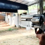 Firearm Market Trends Collectors