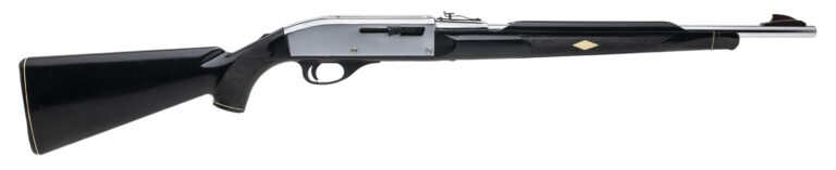 Remington Nylon 66 Apache Black Rifle .22LR