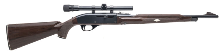 Remington Nylon 66 Mohawk Brown Rifle .22LR