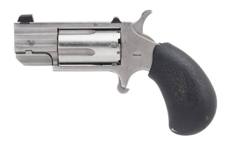 NAA Pug Mini-Revolver .22 Magnum