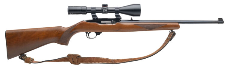 Ruger 10/22 Rifle .22LR