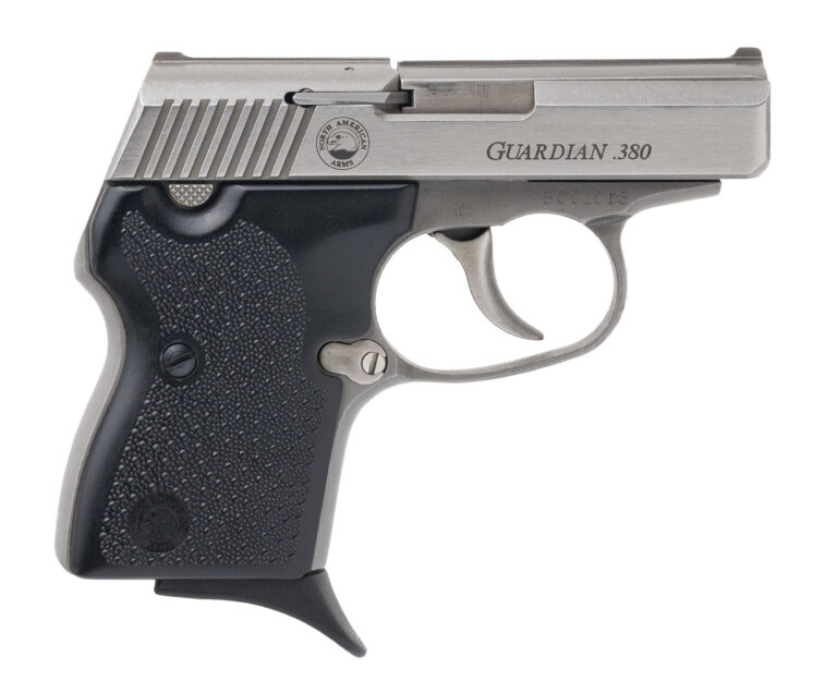 NAA Guardian Pistol .380 ACP