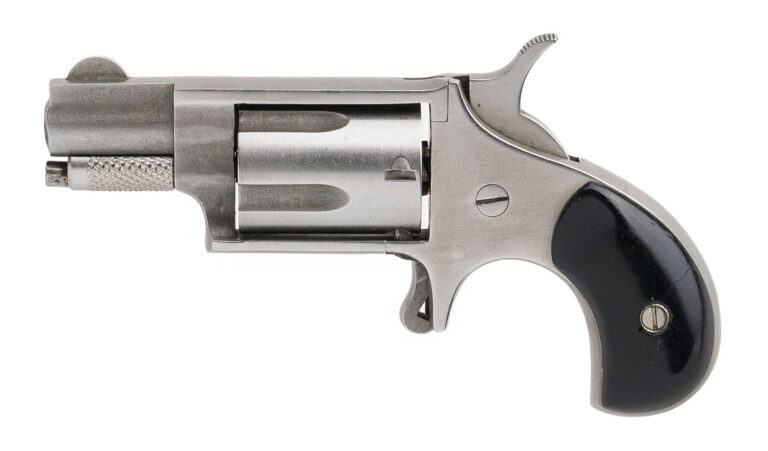North American Arms Mini Revolver .22LR